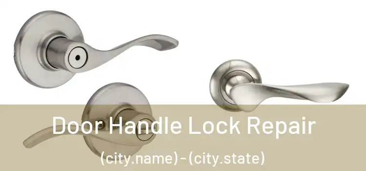 Door Handle Lock Repair (city.name) - (city.state)